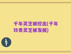 千年灵芝被挖出(千年珍贵灵芝被发掘)