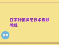在家种植灵芝技术视频教程