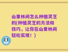 山里林间怎么种植灵芝的(种植灵芝的方法和技巧，让你在山里林间轻松实现！)