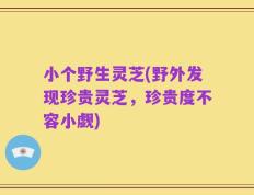 小个野生灵芝(野外发现珍贵灵芝，珍贵度不容小觑)