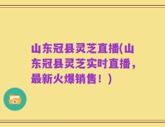 山东冠县灵芝直播(山东冠县灵芝实时直播，最新火爆销售！)