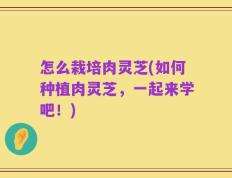 怎么栽培肉灵芝(如何种植肉灵芝，一起来学吧！)