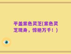 平盖紫色灵芝(紫色灵芝现身，惊艳万千！)