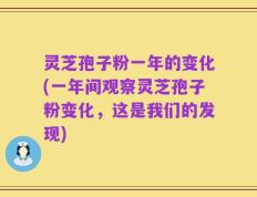 灵芝孢子粉一年的变化(一年间观察灵芝孢子粉变化，这是我们的发现)