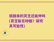 摘回来的灵芝还能种吗(灵芝能否种植？探究其可能性)