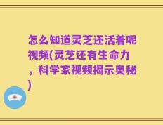 怎么知道灵芝还活着呢视频(灵芝还有生命力，科学家视频揭示奥秘)