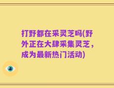 打野都在采灵芝吗(野外正在大肆采集灵芝，成为最新热门活动)