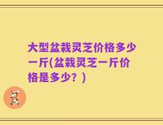 大型盆栽灵芝价格多少一斤(盆栽灵芝一斤价格是多少？)