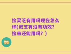 捡灵芝有用吗现在怎么样(灵芝有没有功效？捡来还能用吗？)
