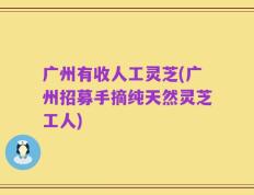 广州有收人工灵芝(广州招募手摘纯天然灵芝工人)