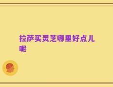 拉萨买灵芝哪里好点儿呢
