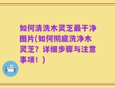 如何清洗木灵芝最干净图片(如何彻底洗净木灵芝？详细步骤与注意事项！)