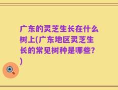 广东的灵芝生长在什么树上(广东地区灵芝生长的常见树种是哪些？)
