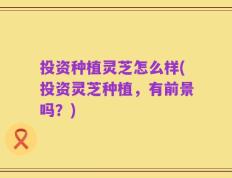 投资种植灵芝怎么样(投资灵芝种植，有前景吗？)