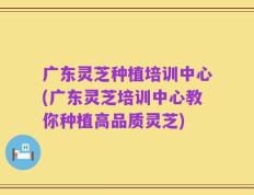 广东灵芝种植培训中心(广东灵芝培训中心教你种植高品质灵芝)