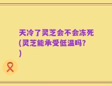 天冷了灵芝会不会冻死(灵芝能承受低温吗？)