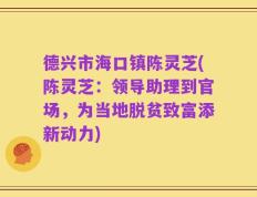 德兴市海口镇陈灵芝(陈灵芝：领导助理到官场，为当地脱贫致富添新动力)