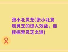 张小北灵芝(张小北发现灵芝的惊人效益，启程探索灵芝之道)