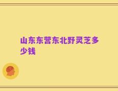 山东东营东北野灵芝多少钱