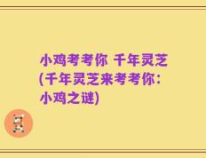 小鸡考考你 千年灵芝(千年灵芝来考考你：小鸡之谜)