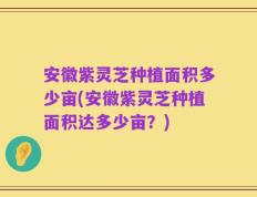 安徽紫灵芝种植面积多少亩(安徽紫灵芝种植面积达多少亩？)