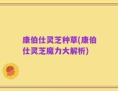 康伯仕灵芝种草(康伯仕灵芝魔力大解析)