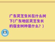 广东灵芝生长在什么树下(广东地区灵芝生长的宿主树种是什么？)