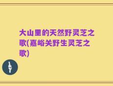 大山里的天然野灵芝之歌(嘉峪关野生灵芝之歌)