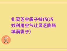 扎灵芝空袋子技巧(巧妙利用空气让灵芝膨胀填满袋子)