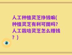 人工种植灵芝挣钱嘛(种植灵芝有利可图吗？人工栽培灵芝怎么赚钱？)