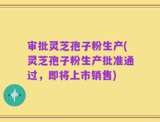 审批灵芝孢子粉生产(灵芝孢子粉生产批准通过，即将上市销售)