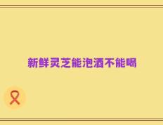 新鲜灵芝能泡酒不能喝