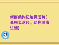 新鲜桑枸杞加灵芝片(桑枸灵芝片，助你健康生活)