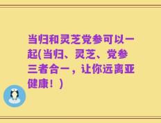 当归和灵芝党参可以一起(当归、灵芝、党参三者合一，让你远离亚健康！)