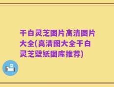 干白灵芝图片高清图片大全(高清图大全干白灵芝壁纸图库推荐)