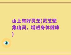 山上有好灵芝(灵芝聚集山间，增进身体健康)