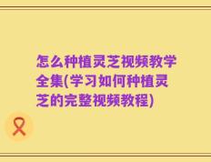 怎么种植灵芝视频教学全集(学习如何种植灵芝的完整视频教程)