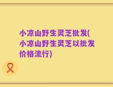 小凉山野生灵芝批发(小凉山野生灵芝以批发价格流行)
