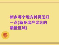 新乡哪个地方种灵芝好一点(新乡出产灵芝的最佳区域)
