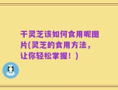 干灵芝该如何食用呢图片(灵芝的食用方法，让你轻松掌握！)