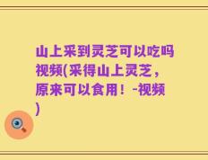 山上采到灵芝可以吃吗视频(采得山上灵芝，原来可以食用！-视频)