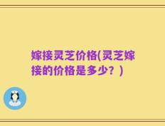 嫁接灵芝价格(灵芝嫁接的价格是多少？)