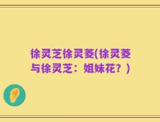 徐灵芝徐灵菱(徐灵菱与徐灵芝：姐妹花？)