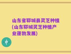 山东省郓城县灵芝种植(山东郓城灵芝种植产业蓬勃发展)