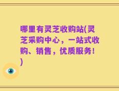 哪里有灵芝收购站(灵芝采购中心，一站式收购、销售，优质服务！)