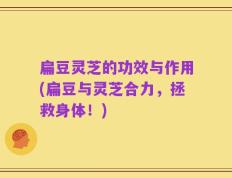 扁豆灵芝的功效与作用(扁豆与灵芝合力，拯救身体！)