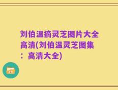 刘伯温摘灵芝图片大全高清(刘伯温灵芝图集：高清大全)