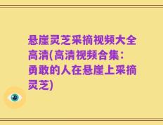 悬崖灵芝采摘视频大全高清(高清视频合集：勇敢的人在悬崖上采摘灵芝)