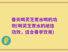 春天喝灵芝煮水喝的功效(喝灵芝煮水的绝佳功效，适合春季饮用)