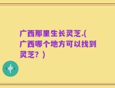 广西那里生长灵芝.(广西哪个地方可以找到灵芝？)